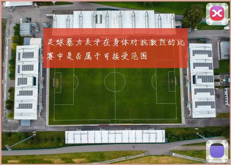 足球暴力美学在身体对抗激烈的比赛中是否属于可接受范围